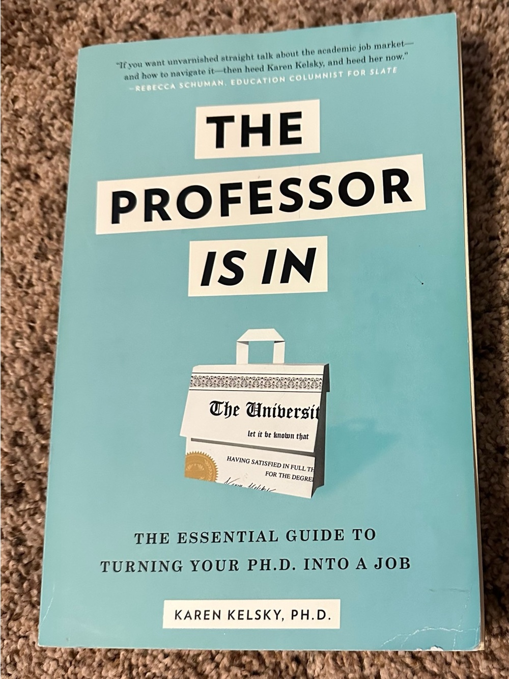 The Professor Is In by Karen Kelsky - Turquoise Paperback
